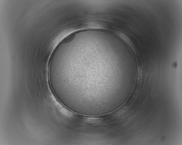 X0000111391439200907171236