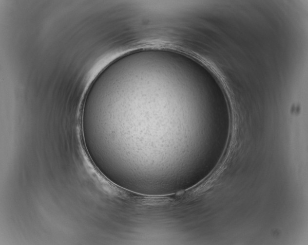 X0000111391440200907171236