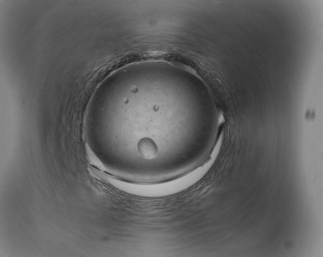 X0000111391441200907171235