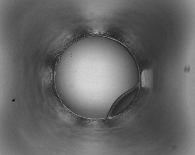 X0000111391443200907171235