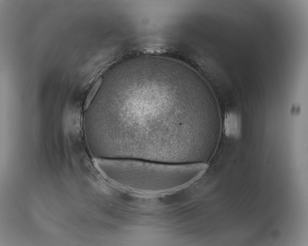 X0000111391444200907171235