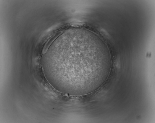 X0000111391445200907171235