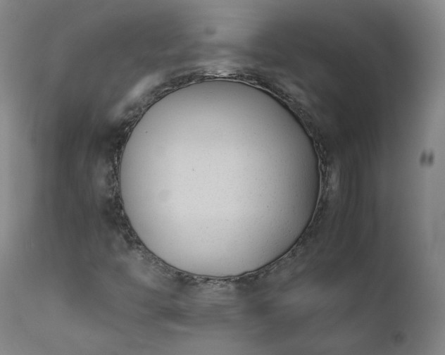 X0000111391446200907171235