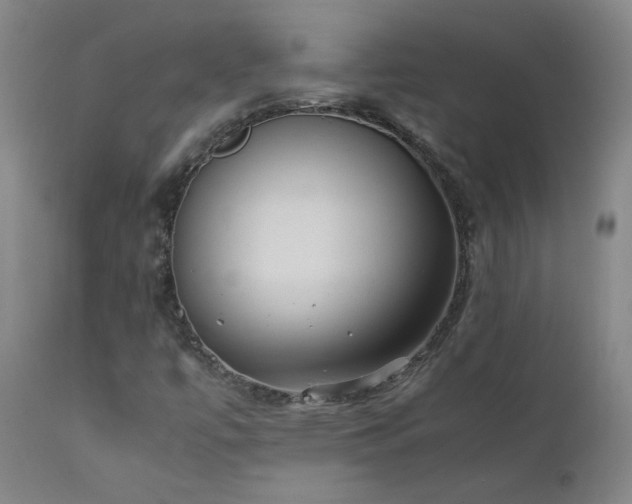 X0000111391447200907171235