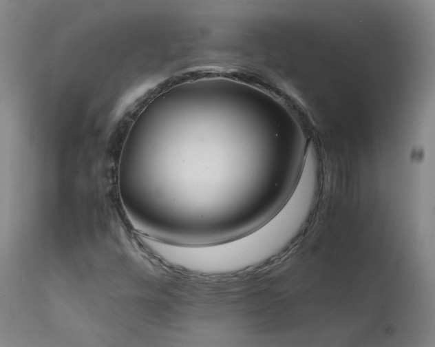 X0000111391448200907171235