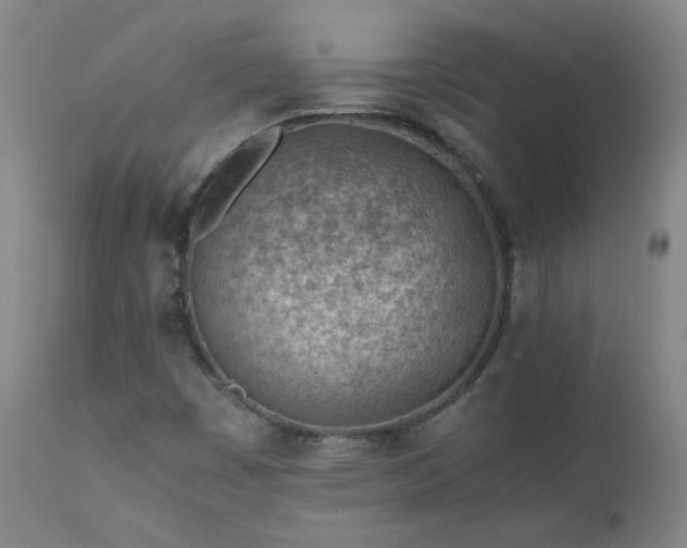 X0000111391449200907171235