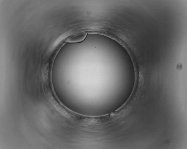 X0000111391450200907171235