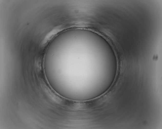 X0000111391451200907171235