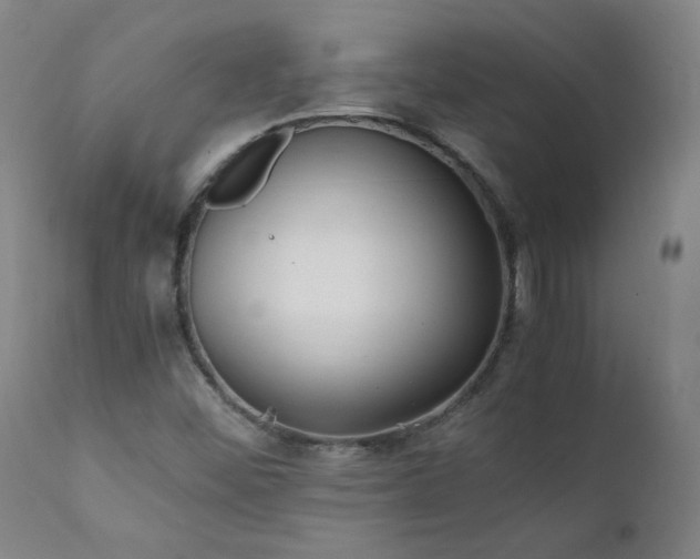 X0000111391452200907171235