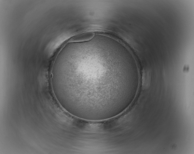 X0000111391453200907171235