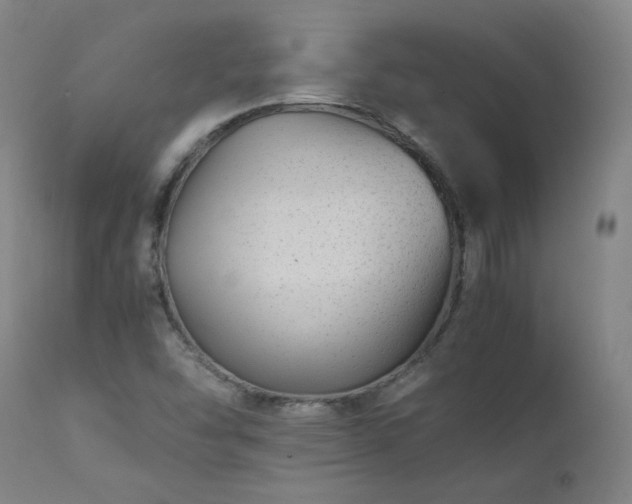 X0000111391454200907171235