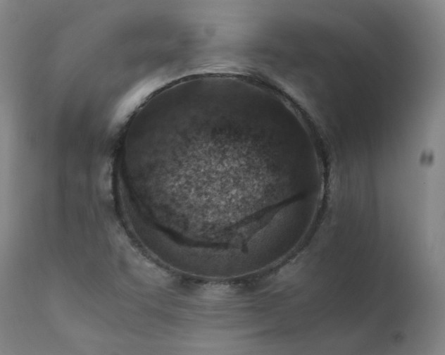 X0000111391455200907171235