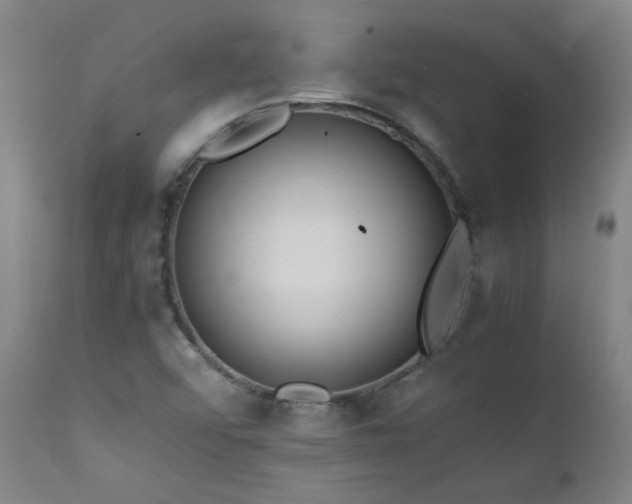 X0000111391456200907171235