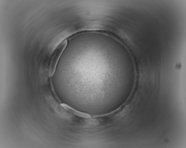 X0000111391457200907171235