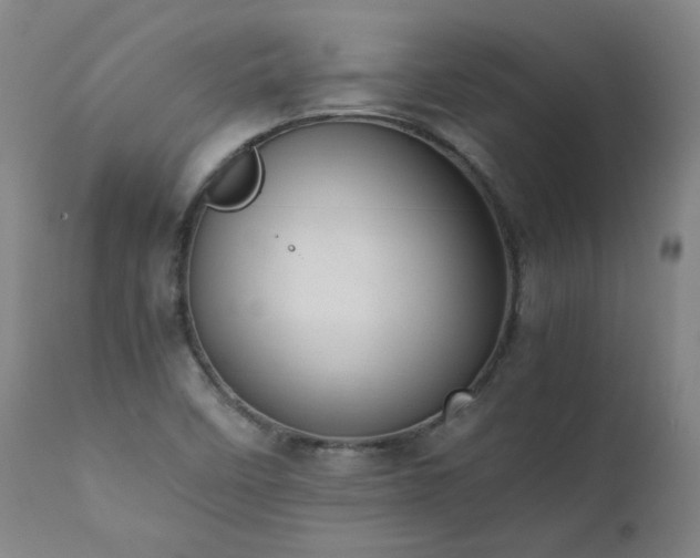 X0000111391458200907171235