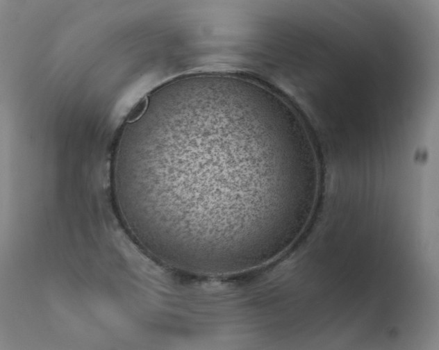 X0000111391459200907171235