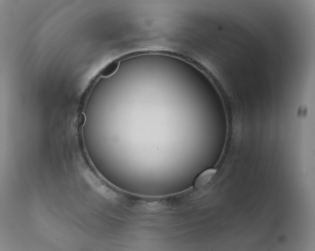 X0000111391460200907171234