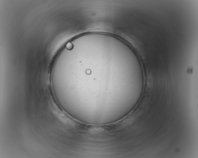 X0000111391462200907171234