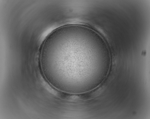 X0000111391463200907171234