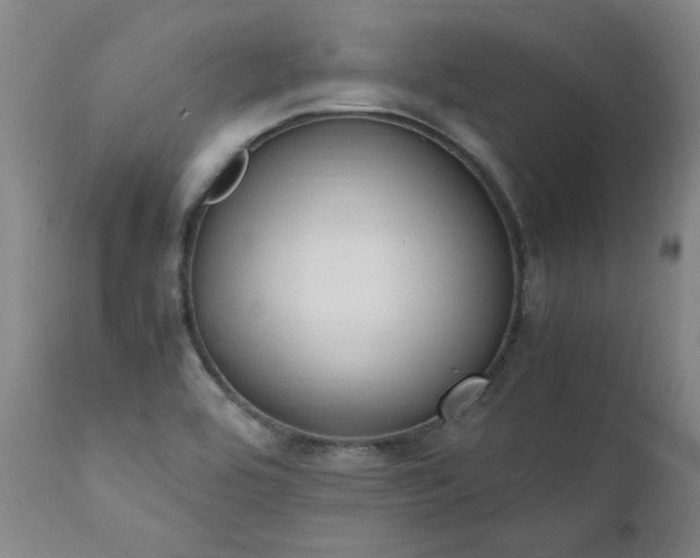 X0000111391464200907171234