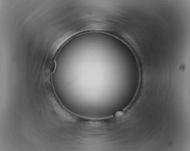 X0000111391465200907171234