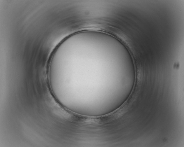 X0000111391466200907171234