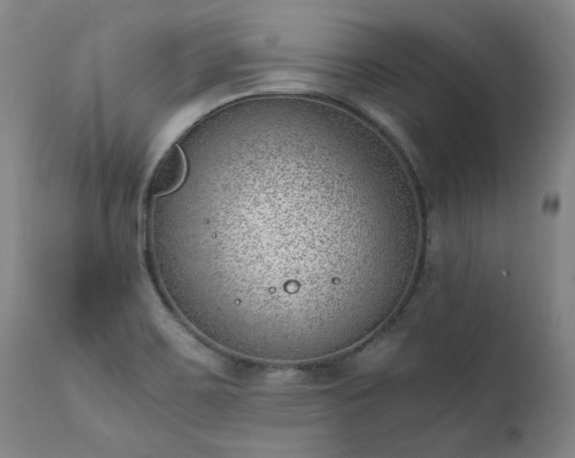 X0000111391467200907171234