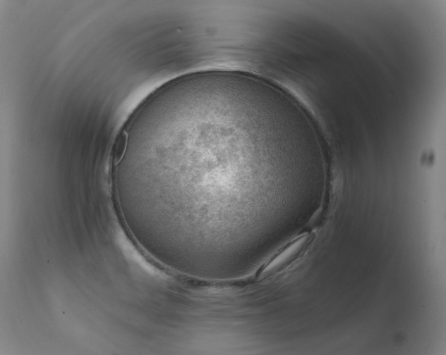 X0000111391468200907171234