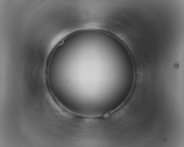 X0000111391469200907171234