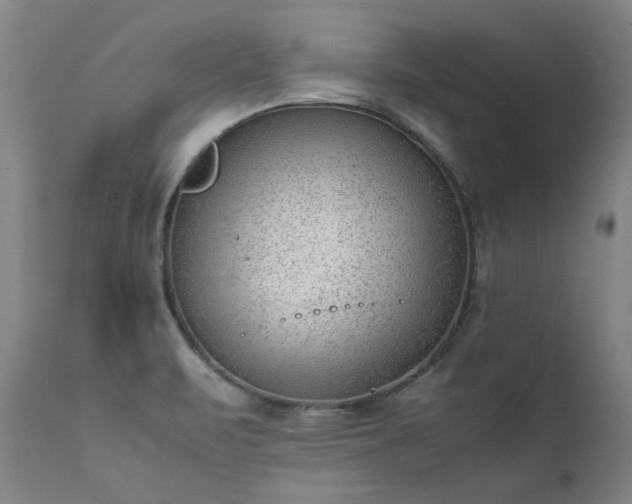 X0000111391471200907171234