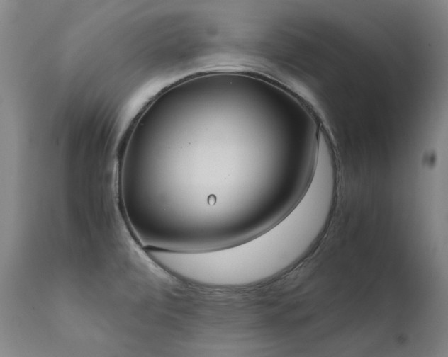 X0000111391472200907171234