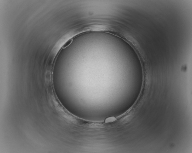 X0000111391473200907171234