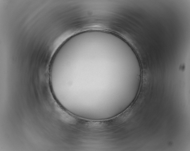 X0000111391474200907171234