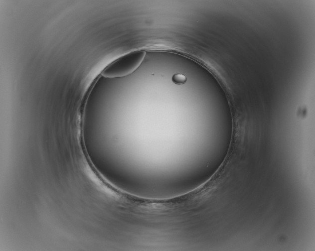 X0000111391476200907171234