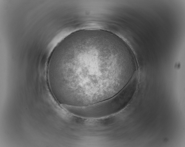 X0000111391477200907171234