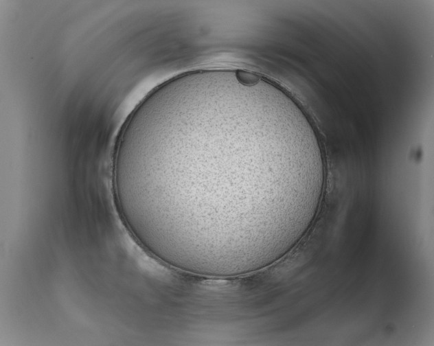 X0000111391478200907171234