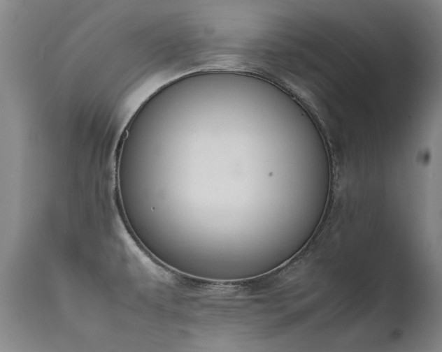 X0000111391479200907171234