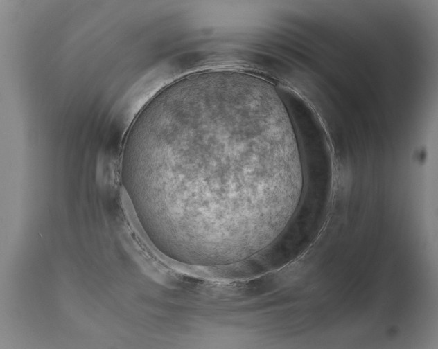 X0000111391481200907171234