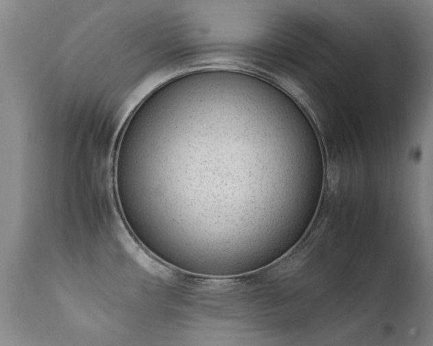 X0000111391482200907171234