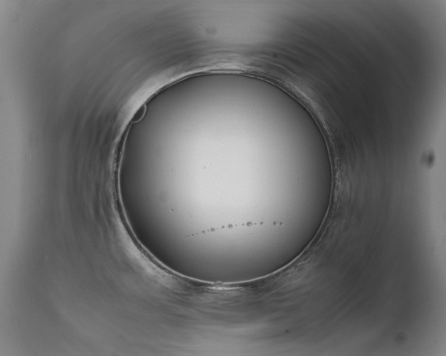 X0000111391483200907171234