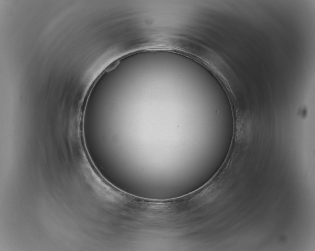 X0000111391484200907171234