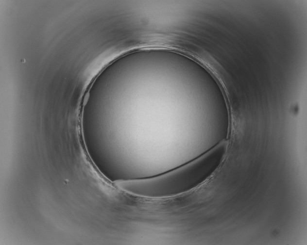 X0000111391485200907171234