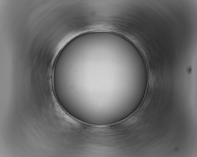 X0000111391486200907171234