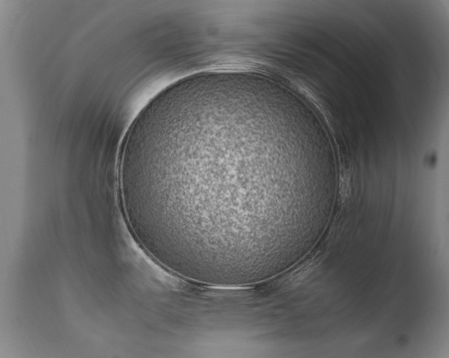 X0000111391487200907171234