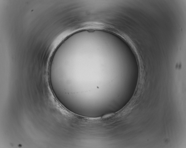 X0000111391488200907171234