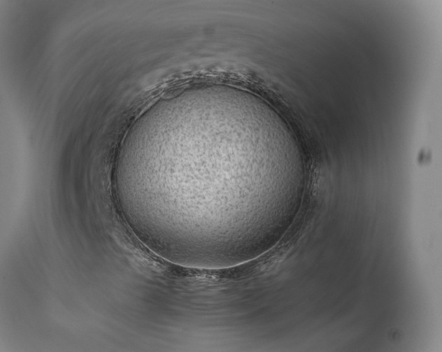 X0000111391489200907171233