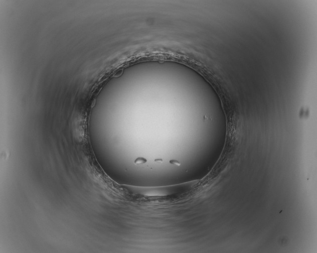 X0000111391490200907171233