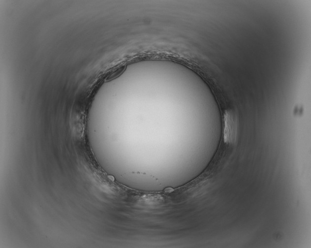 X0000111391491200907171233