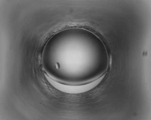 X0000111391492200907171233