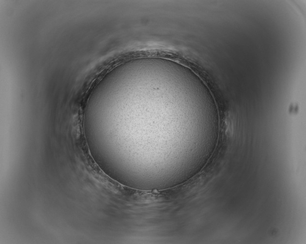 X0000111391493200907171233